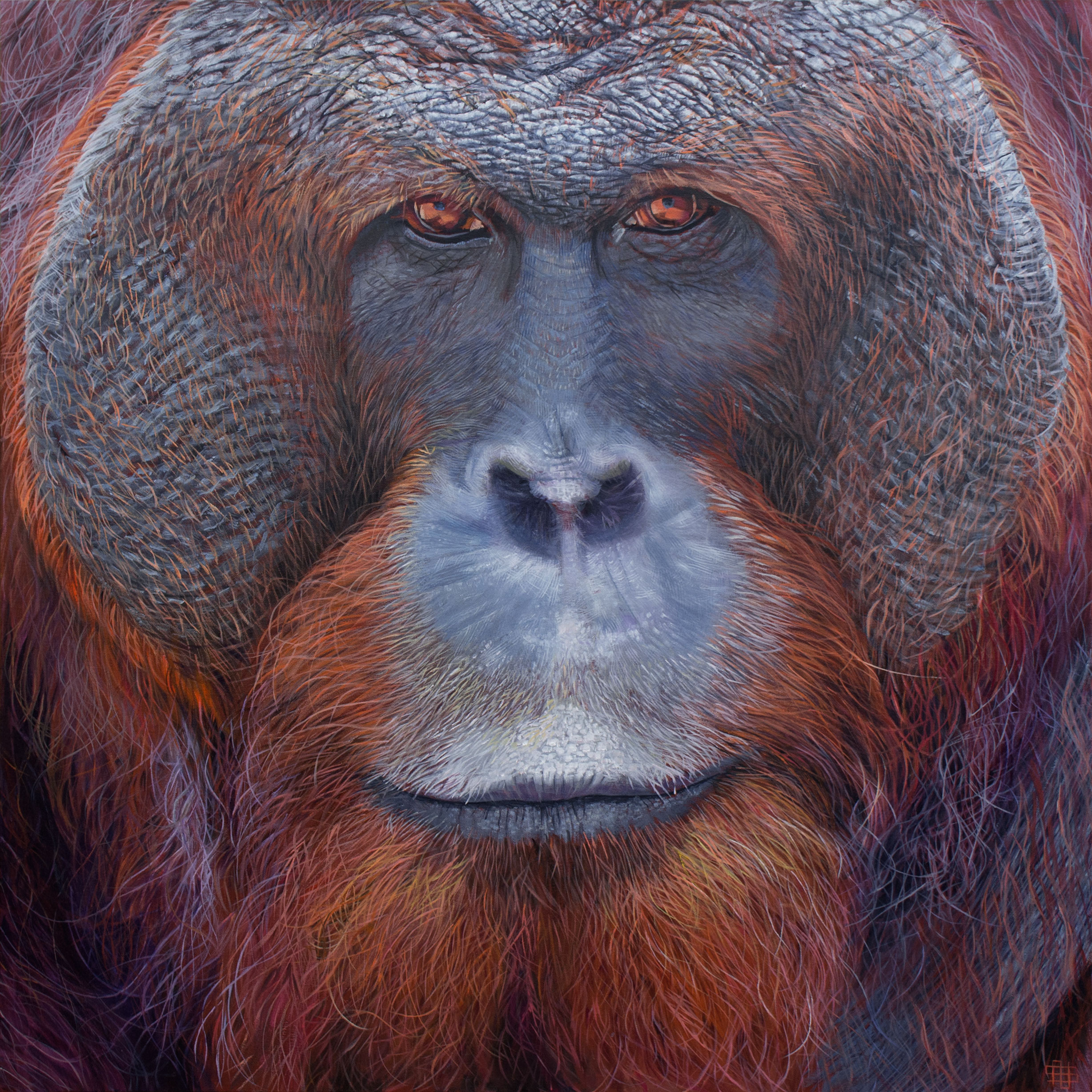 Orangutan (adult male) Nayartist