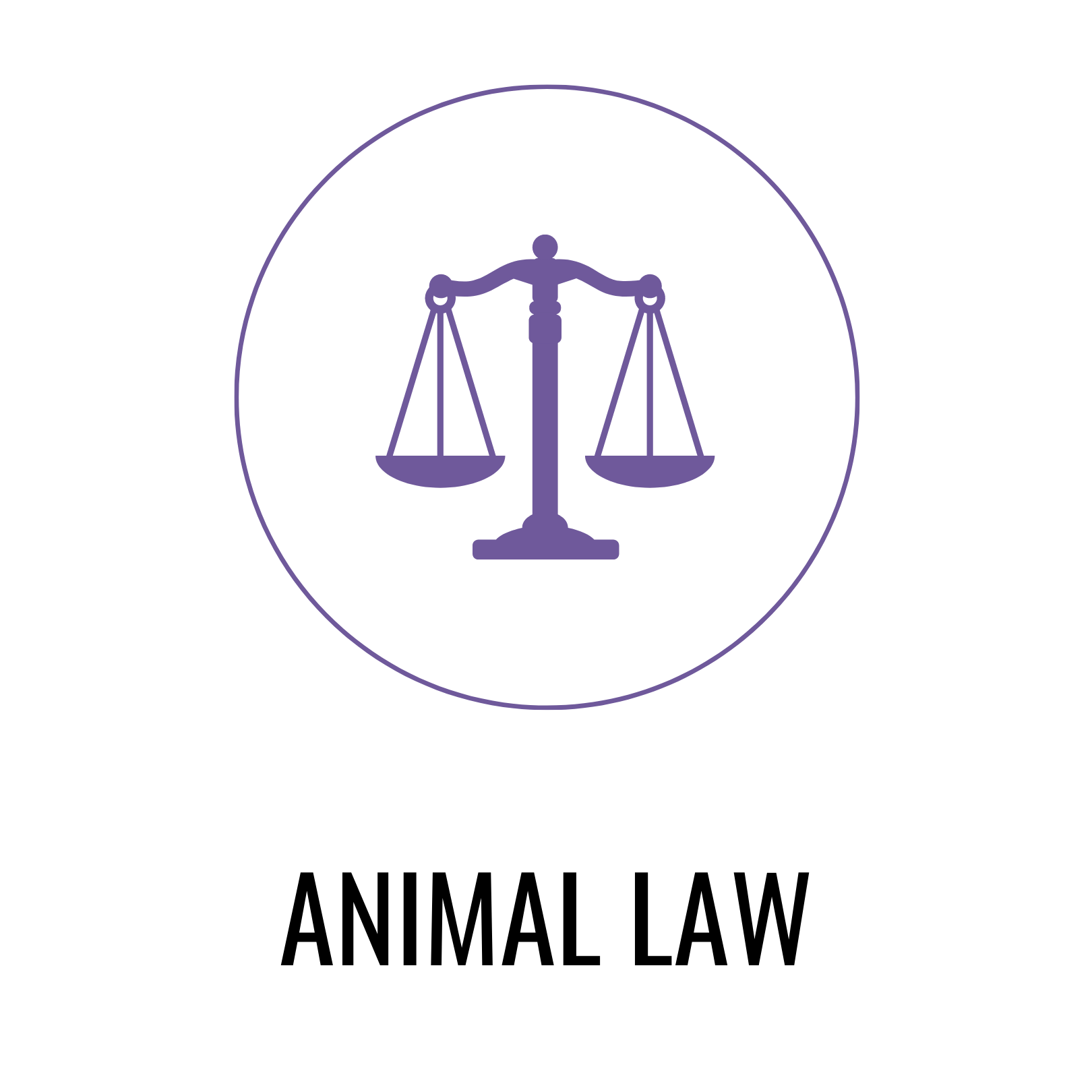 Practice Areas Naylor & Braster