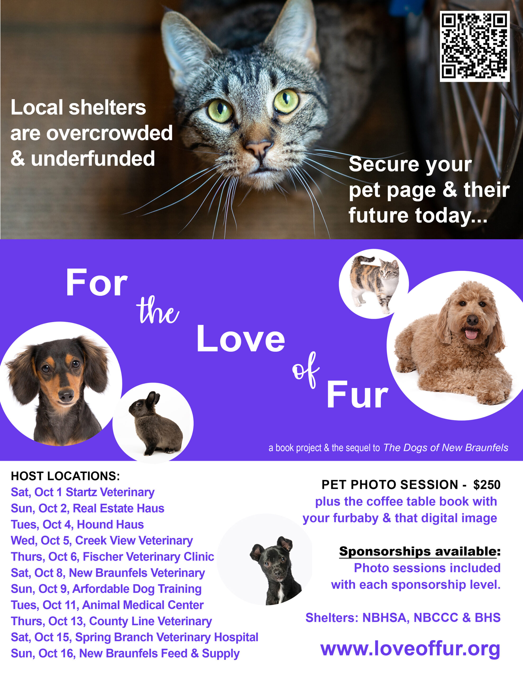 For the Luv of Fur Pet Photo Sessions New Braunfels Feed & Supply