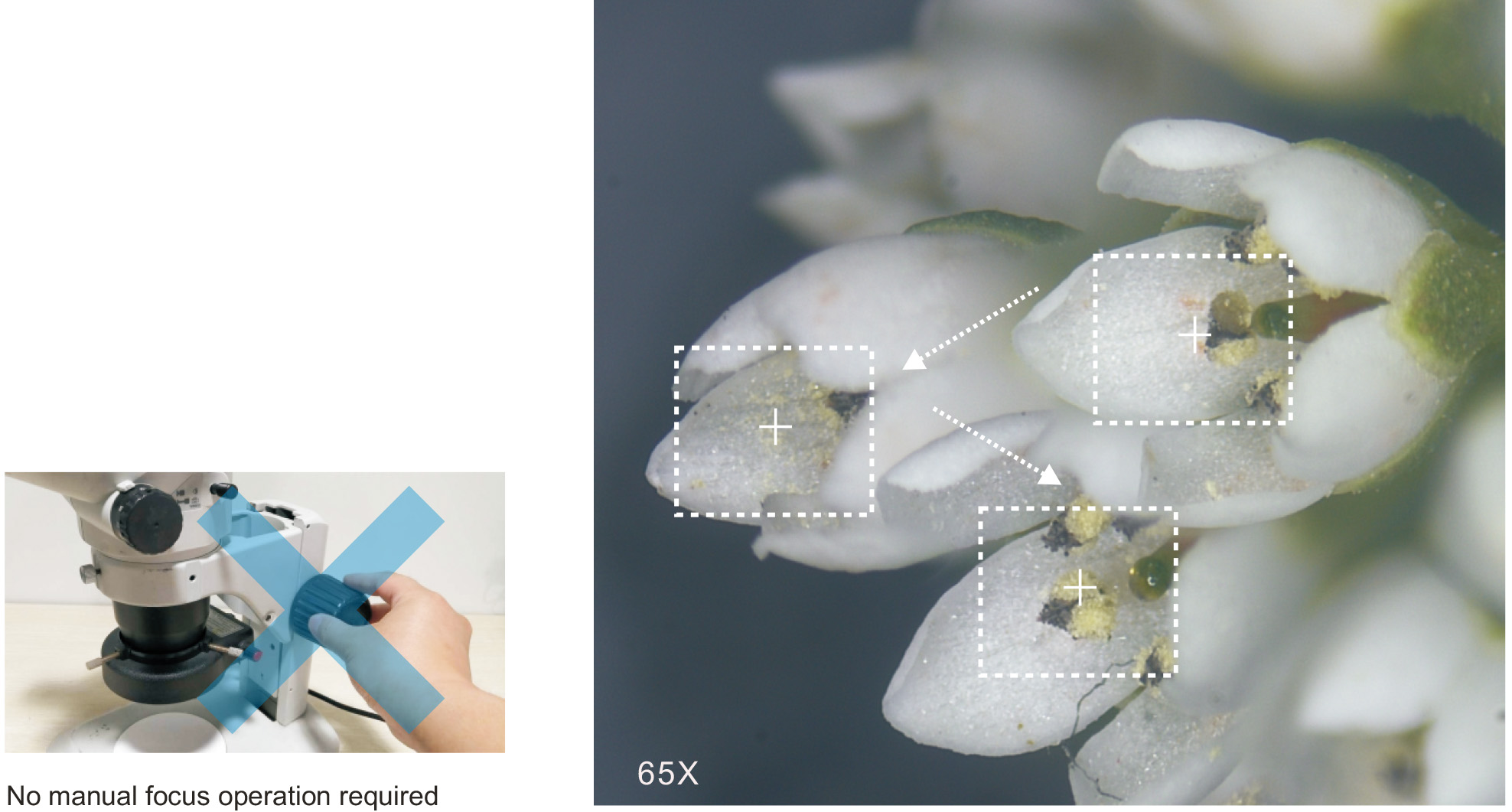 MEADOFT20 Smart 3DSuper Depth of Field Microscope