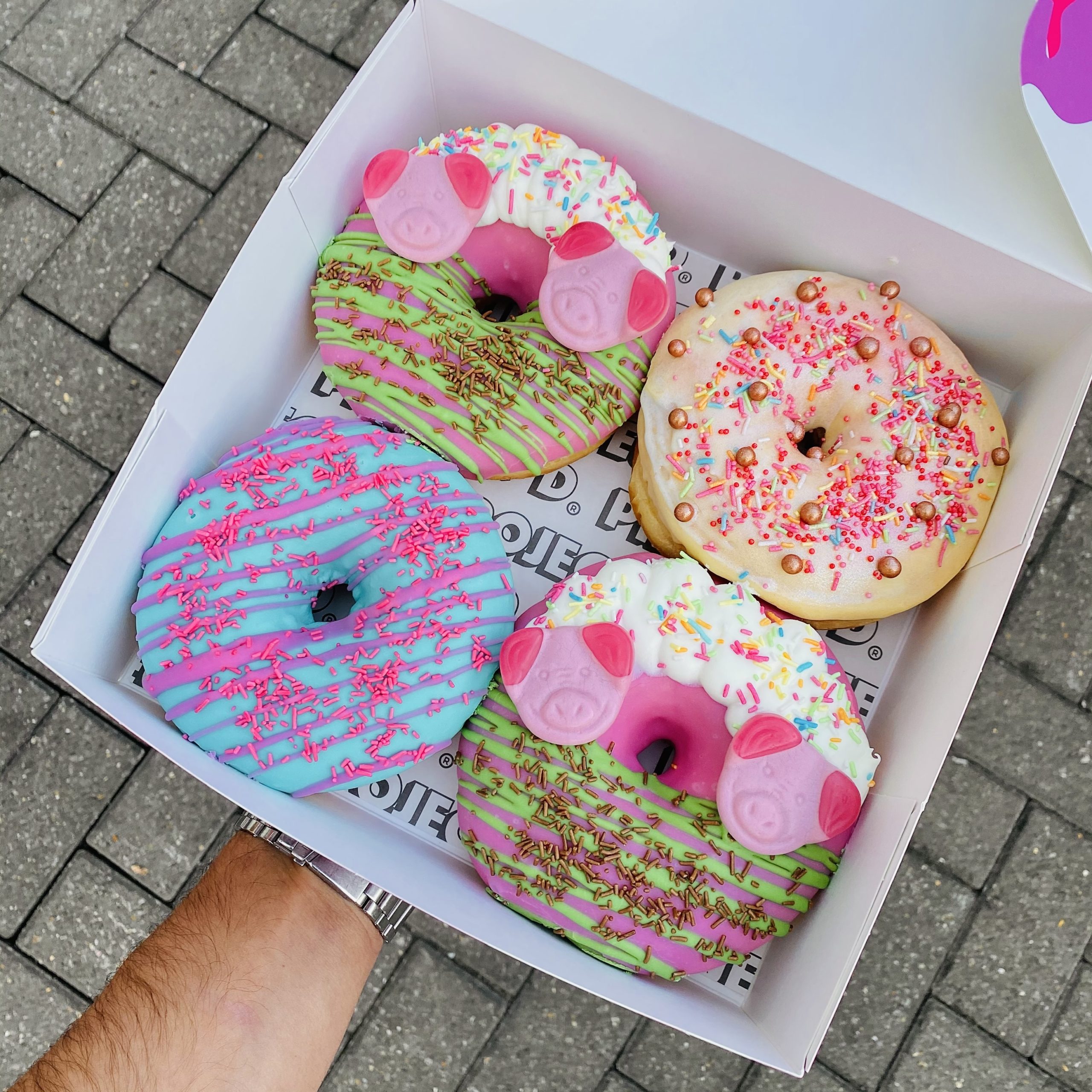 Caterer Spotlight Project Doughnut