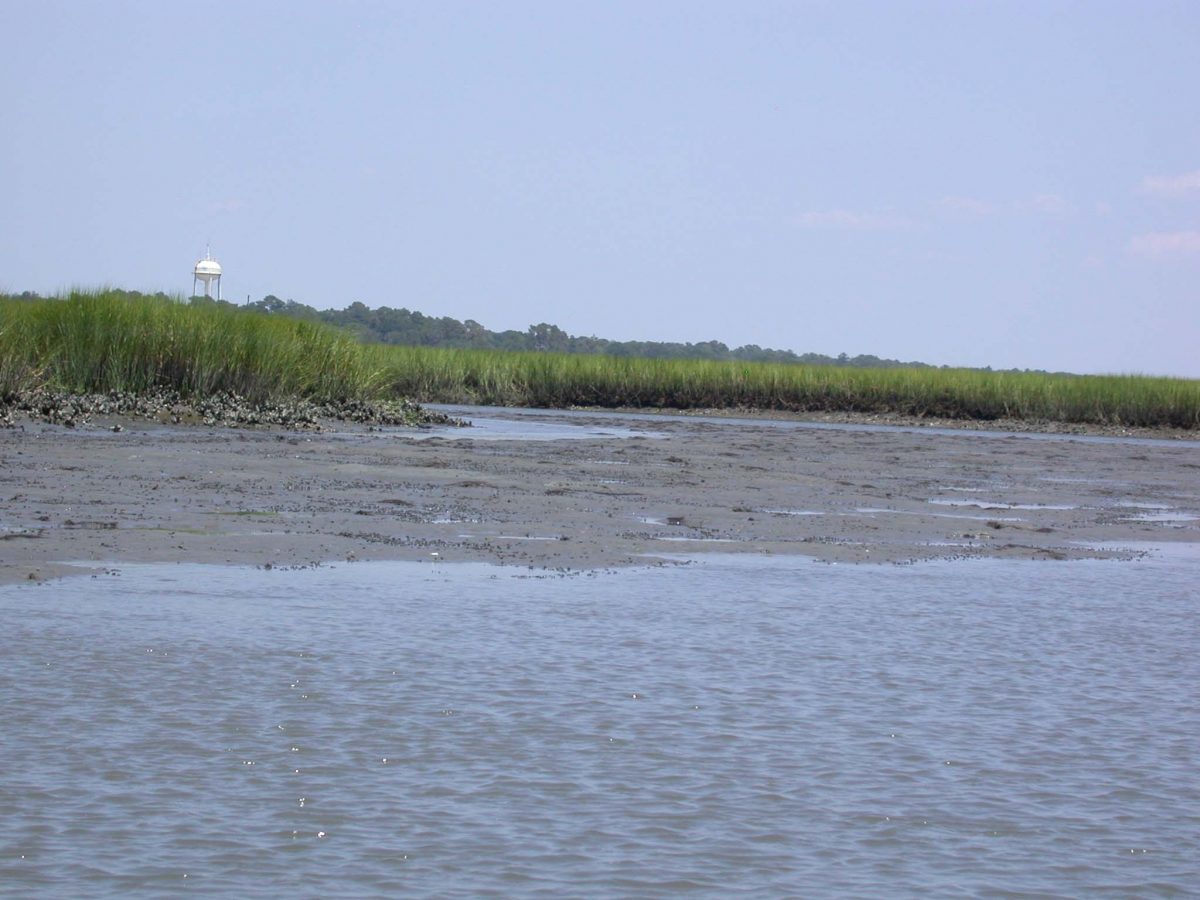 The Bird Island Coastal Reserve North Carolina Coastal Federation