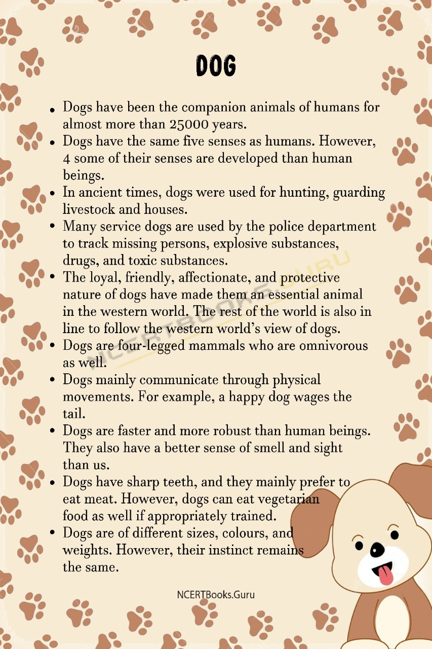 10 Lines on Dog for Students and Children in English - NCERT Books