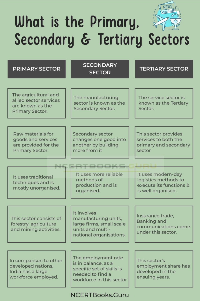 Difference between Primary, Secondary and Tertiary Sectors & Their