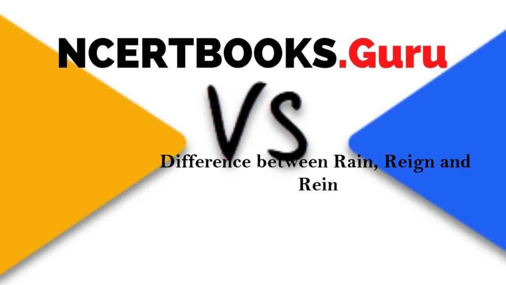 Difference between Rain, Reign and Rein & Their Similarities NCERT Books
