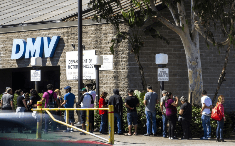 Does DMV Run Background Checks? Discovering Employment Paths and