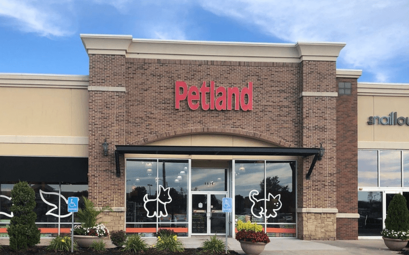 Krystal Application Online Jobs & Career Info Tips for Applying!