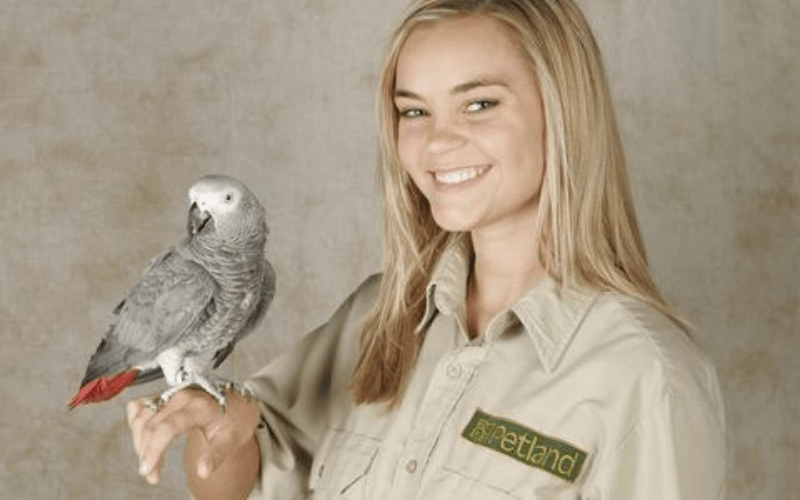 Petland Application Online Jobs & Career Info Discovering Employment