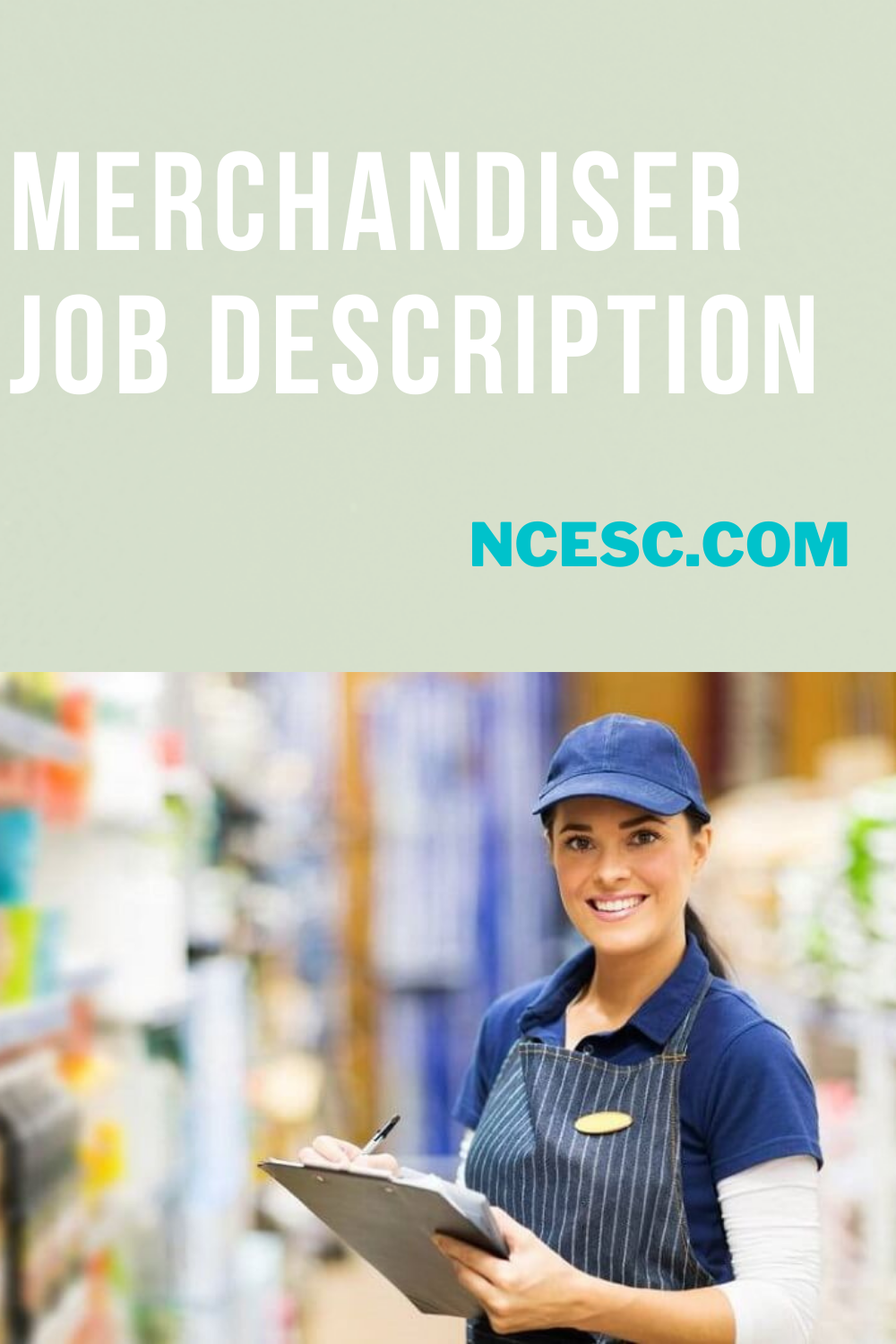 Merchandiser Job Description Discovering Employment Paths and Travel