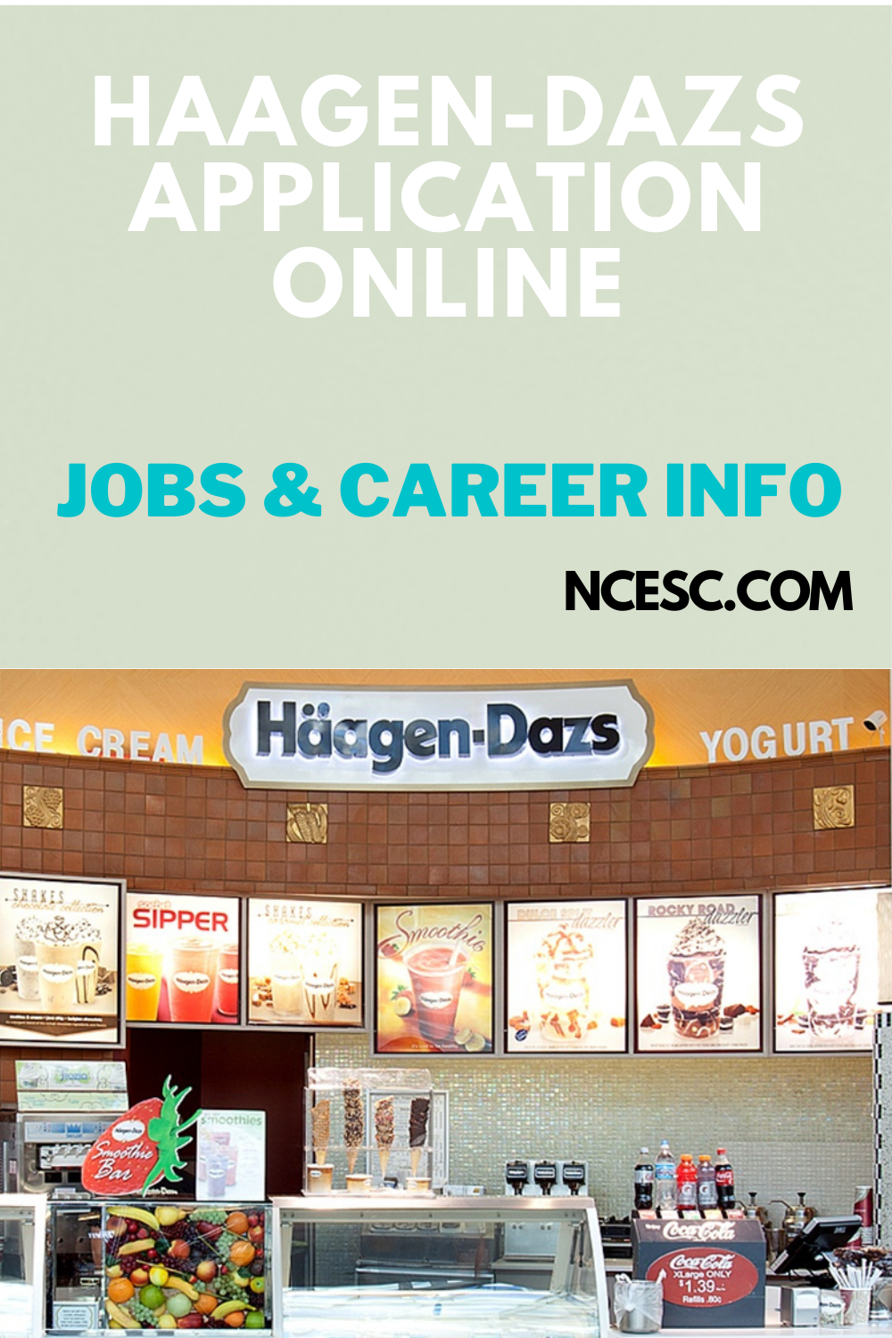 HaagenDazs Application Online Jobs & Career Info Discovering