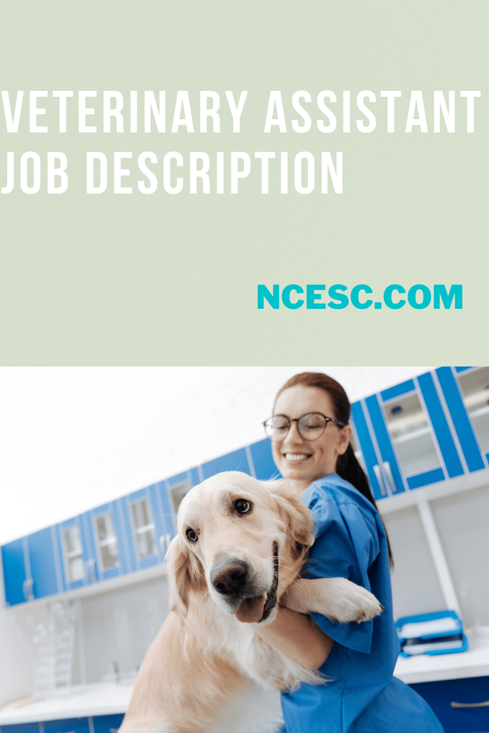 Veterinary Assistant Job Description Discovering Employment Paths and