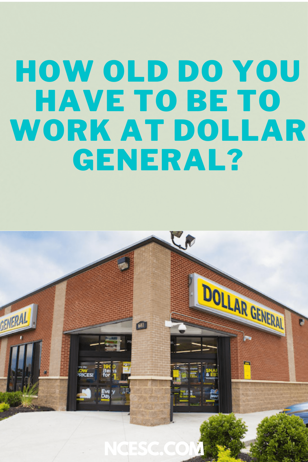 How Old Do You Have to Be to Work at Dollar General?