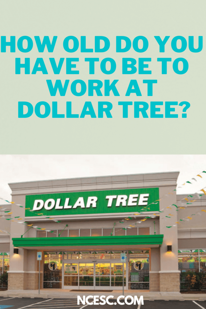 How Old Do You Have to Be to Work at Dollar Tree? Discovering