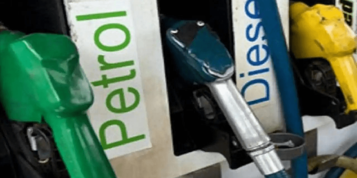 Is Costco Gas Good? (You Should Know) Discovering Employment Paths