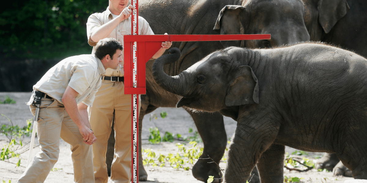 What does a Zoologist do? (2023 Guide) Discovering Employment Paths