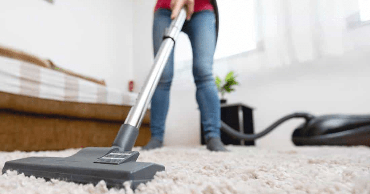 Does Dollar General Rent Carpet Cleaners? [GUIDE]