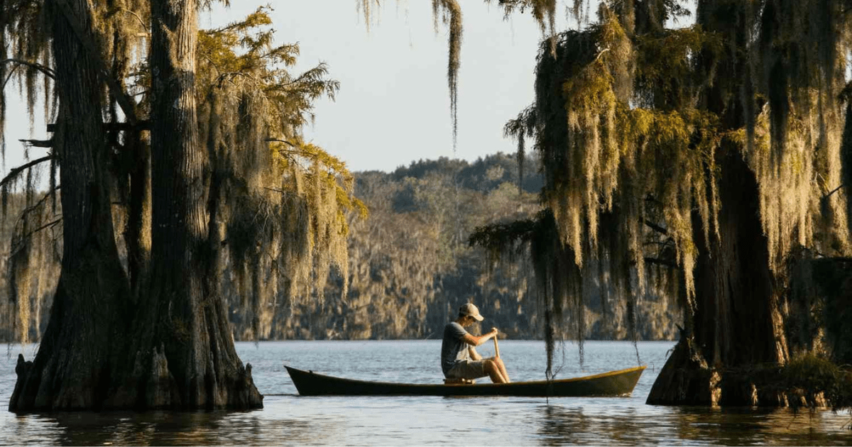 10 Most Dangerous States in the US Updated List!