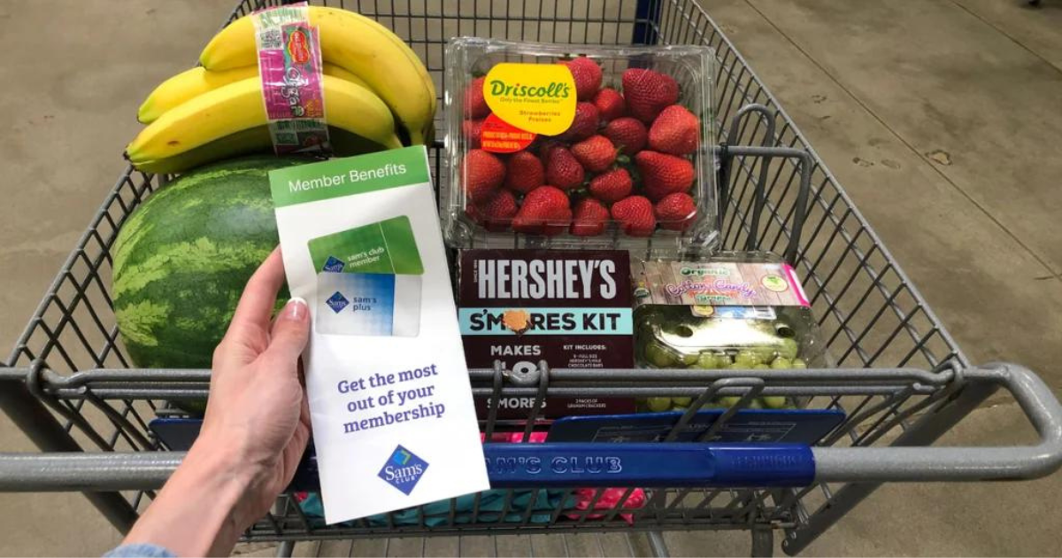 Sam’s Club Employee Discount Discovering Employment Paths and Travel