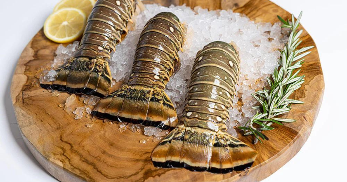 How Much Does a Lobster Tail Cost? Discovering Employment Paths and