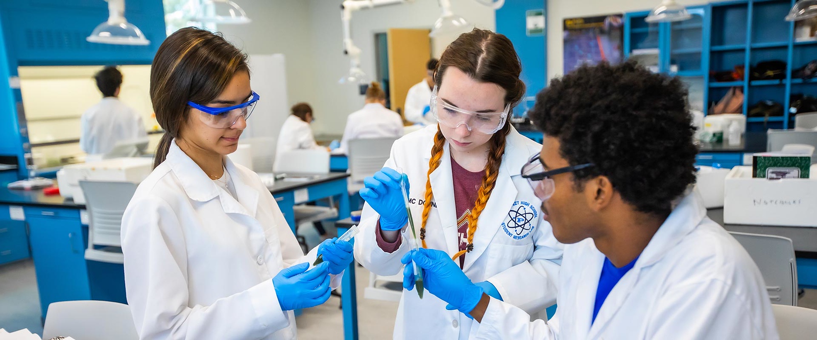 Undergraduate Program New College of Florida