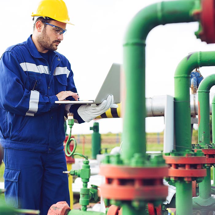 GIS Integrity Management Services Integrity Plus