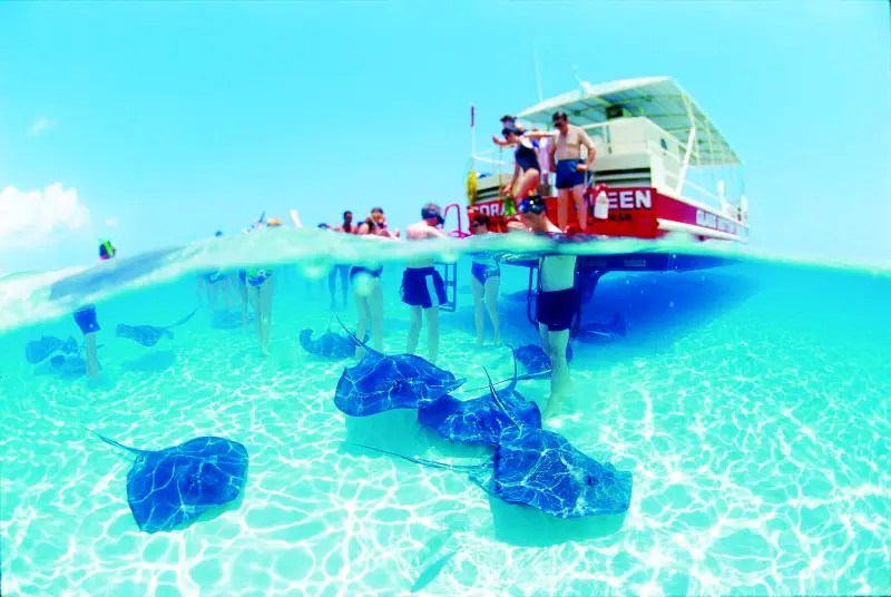 Cruise Shore Excursions for Every Type of Traveler Caribbean