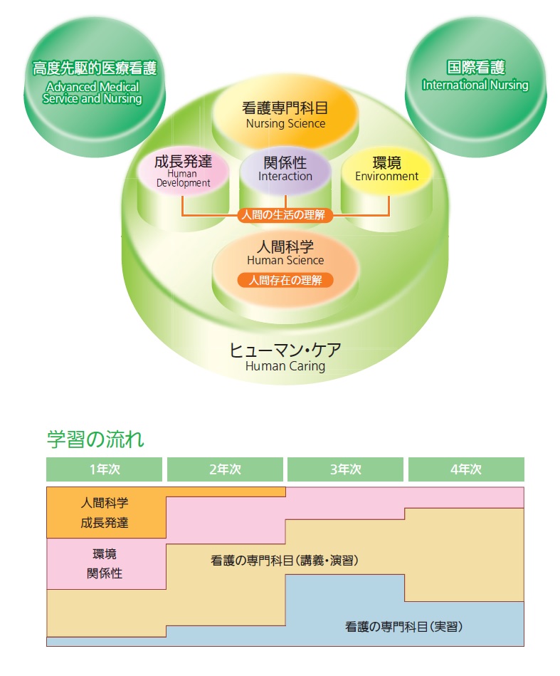 看護学部の概要とカリキュラム 国立看護大学校