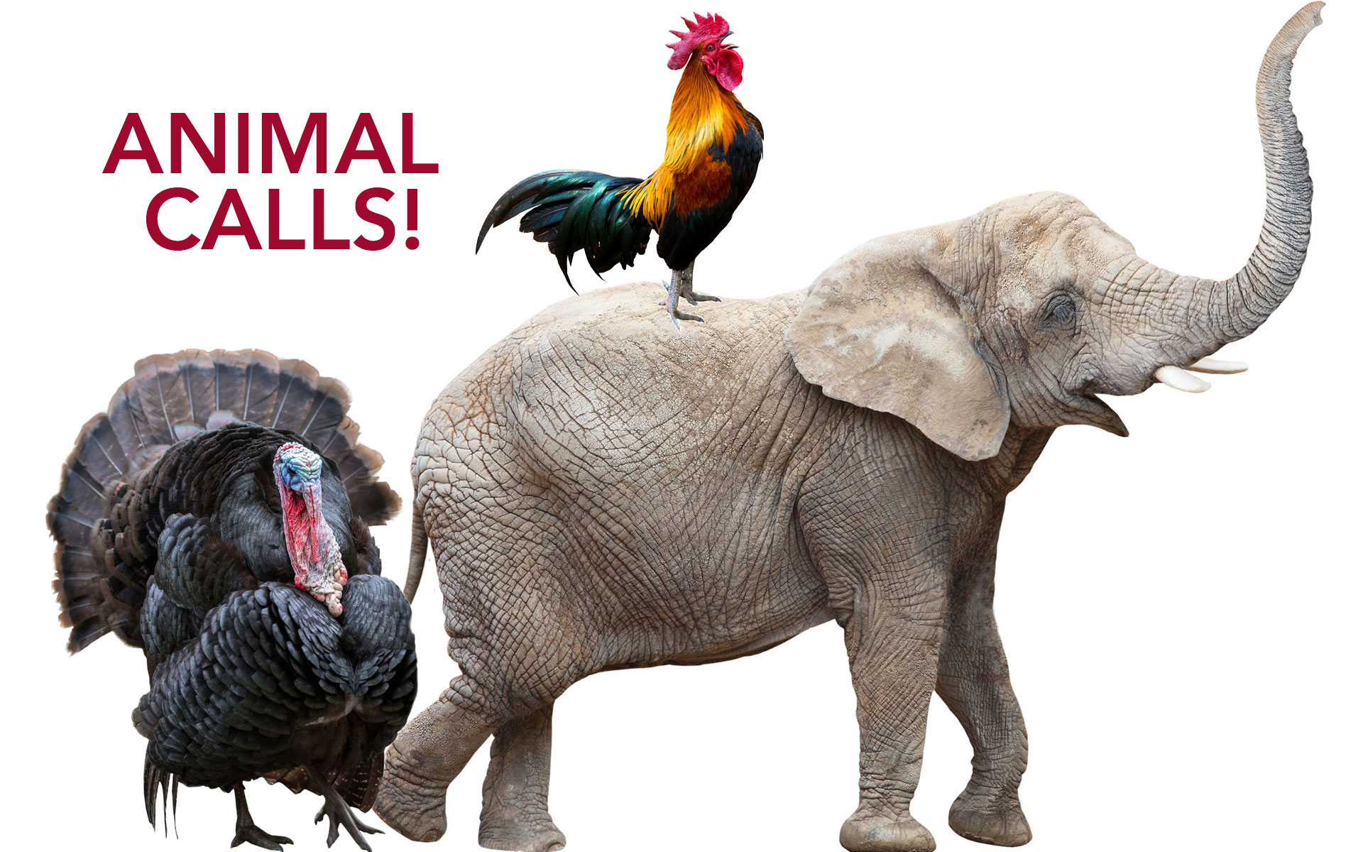 Adult & Youth Fun Events Nisichawayasihk Cree Nation