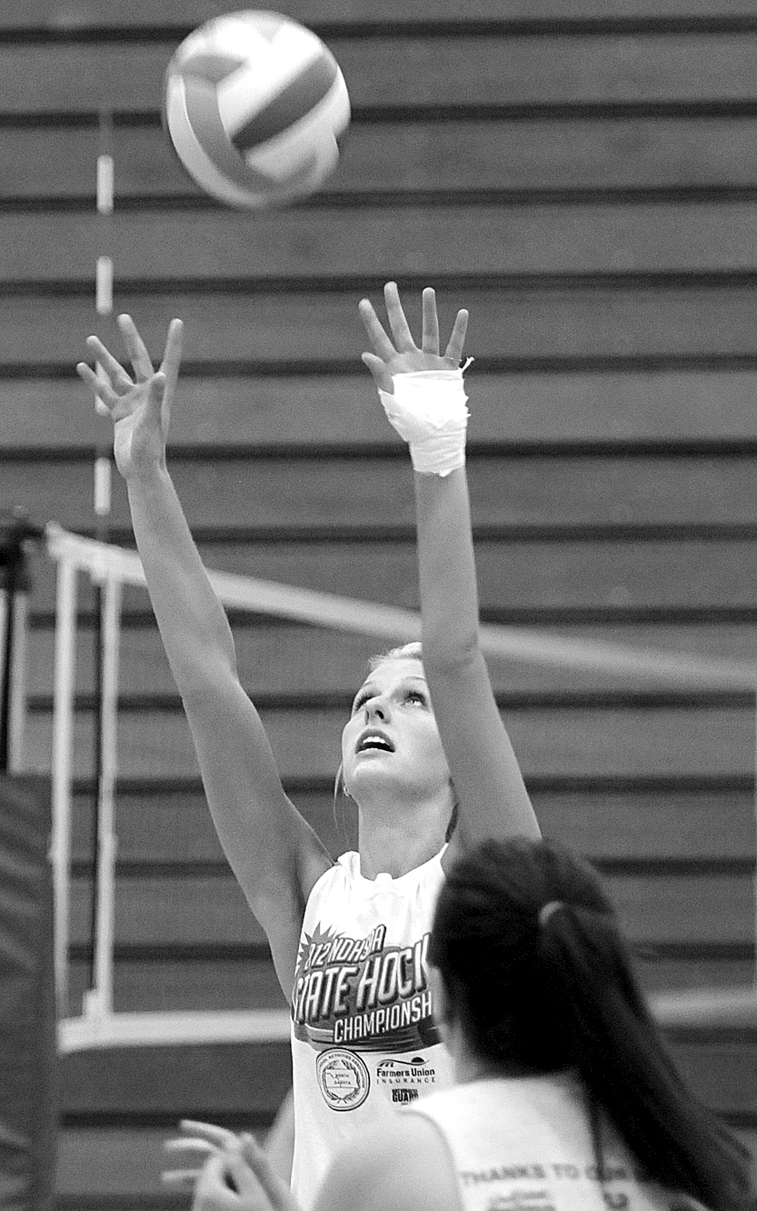 North Dakota Newspaper Association Stories