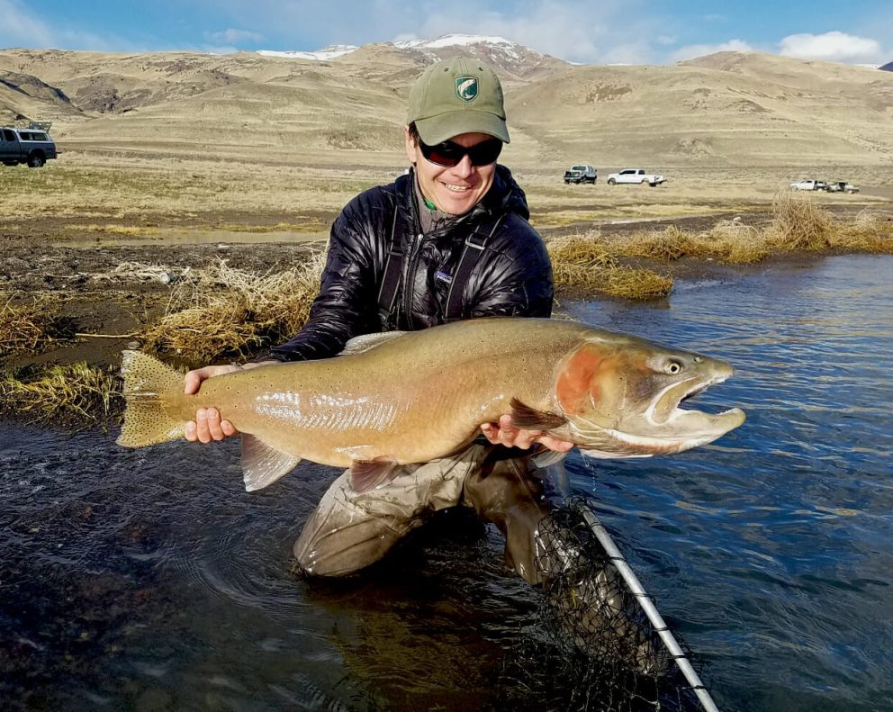 Lahontan Cutthroat Trout NDOW