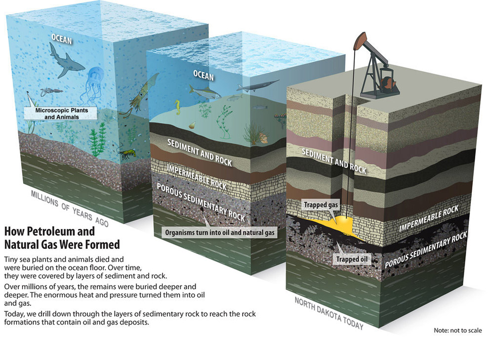 Section 2 The Williston Basin 8th Grade North Dakota Studies