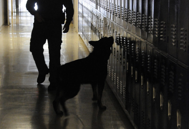 The High Cost of Random Student Searches NEA