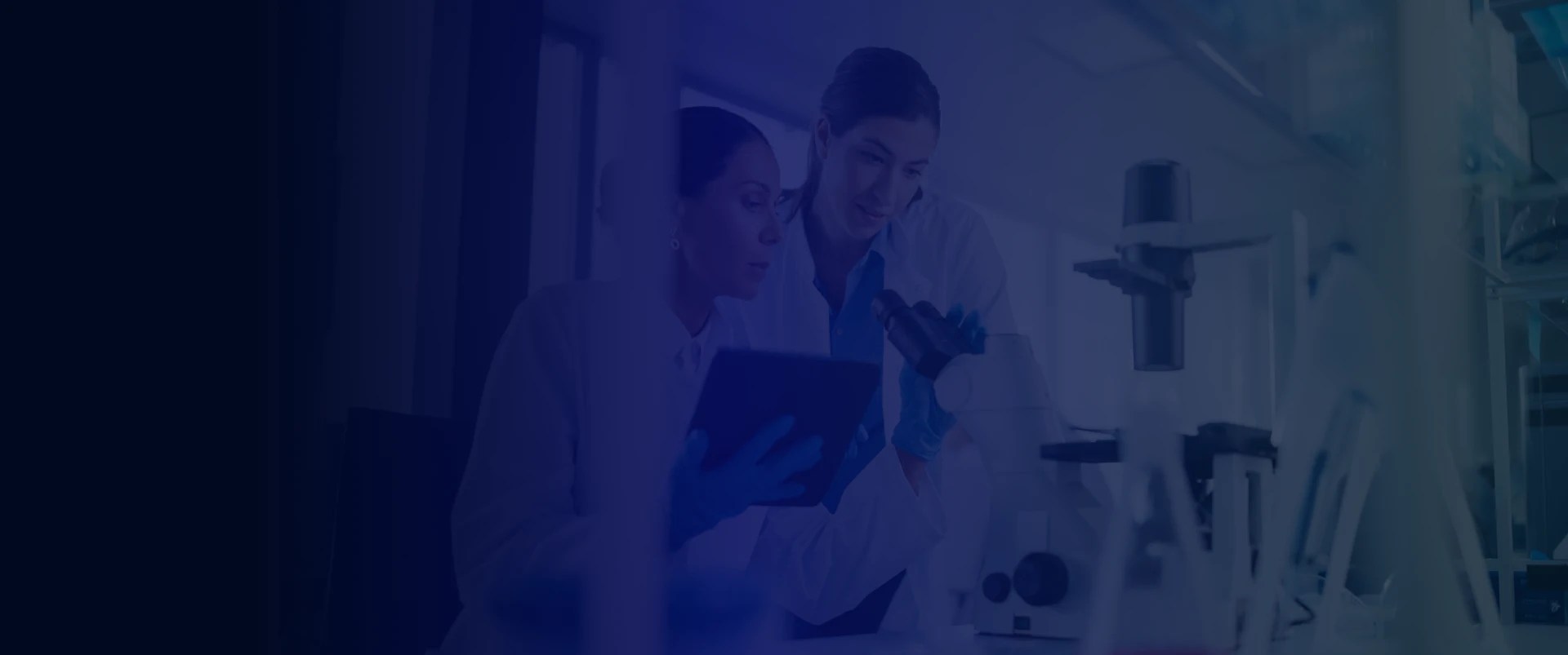 Analytical Testing, Analytical Laboratory Services NorthEast BioLab