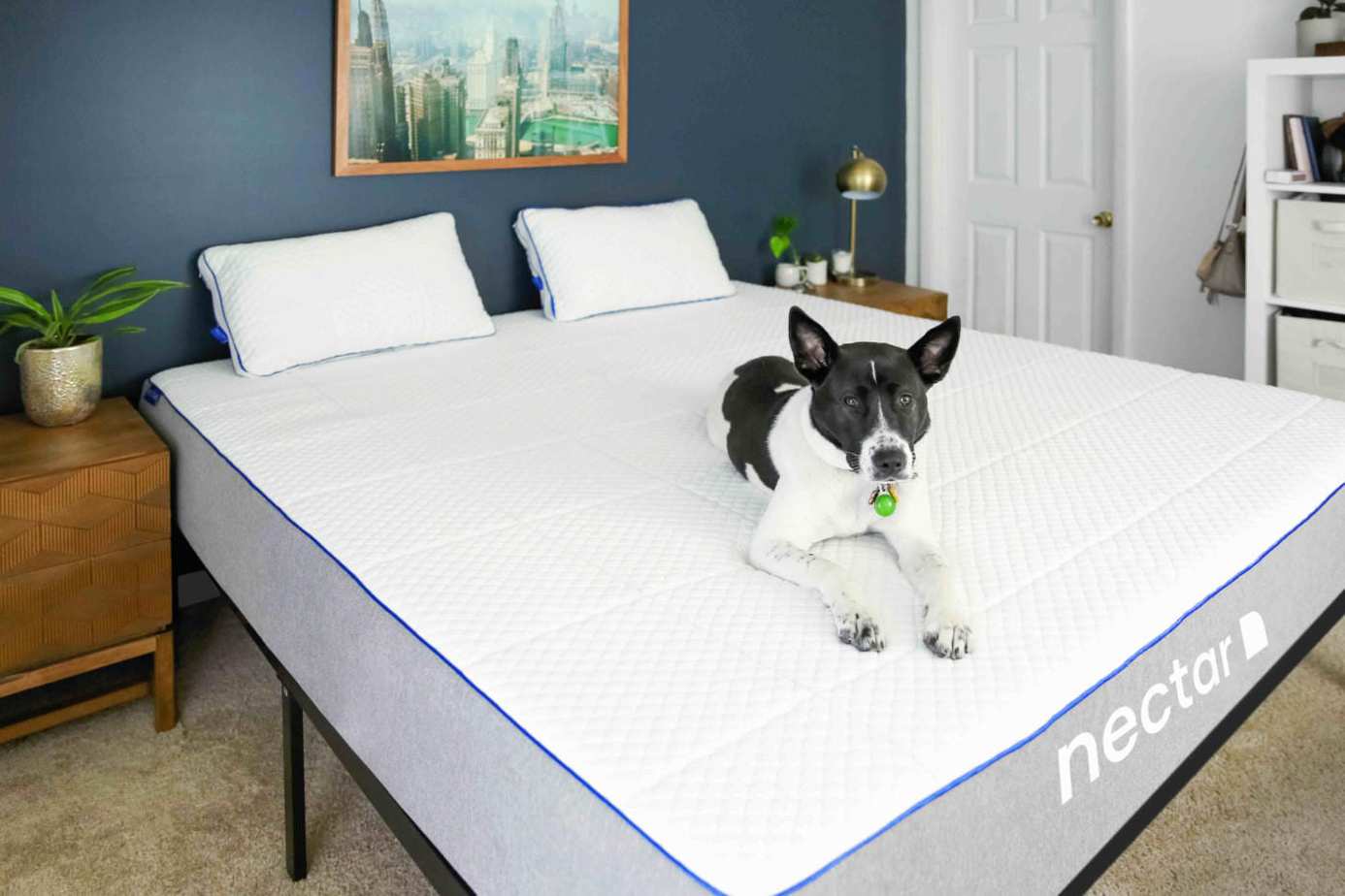 New Mattress Smell How Much Time New Nectar Mattress Smell Last?