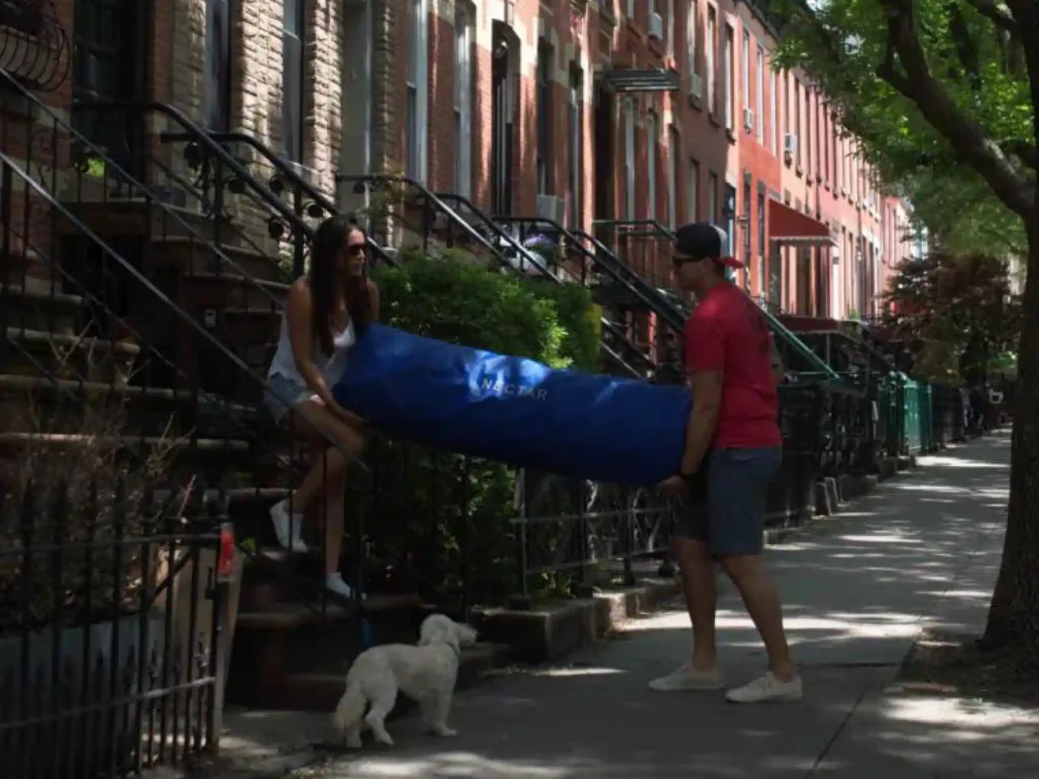 Does Nectar Mattress Need A Box Spring Nectar Sleep