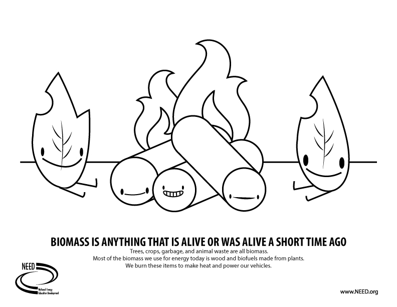 Webquest Exploration Guide Biomass Basics Answers (PDF)