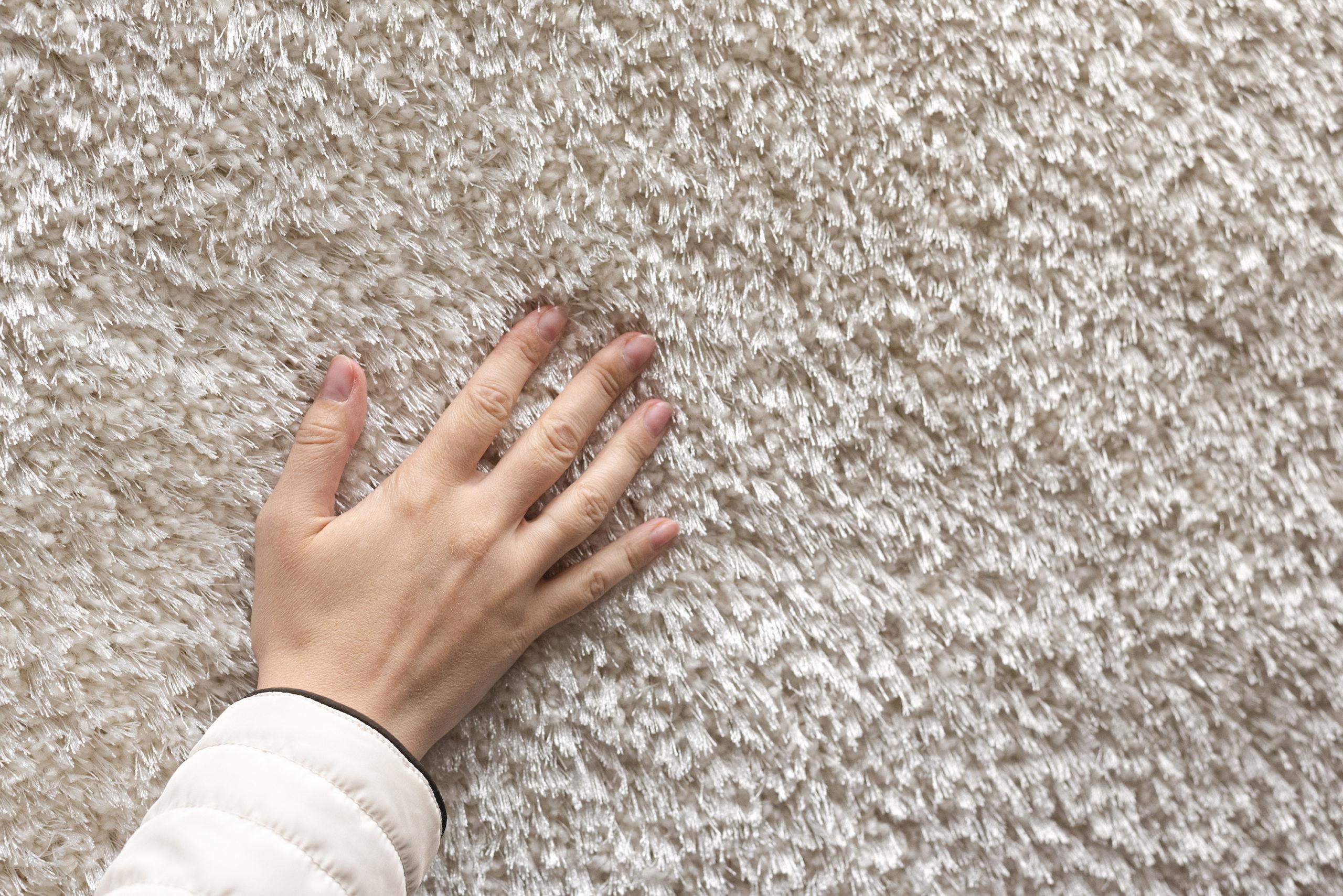 Find Out The Best Carpet Material For Your Home Call 01633 842842