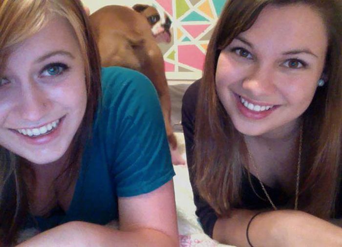 Selfie Fails Funny Things