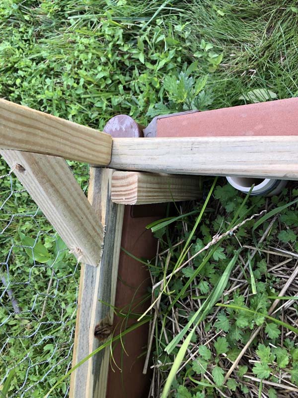 Squirrel Proof Raised Garden Bed Covers for Tomato Plants