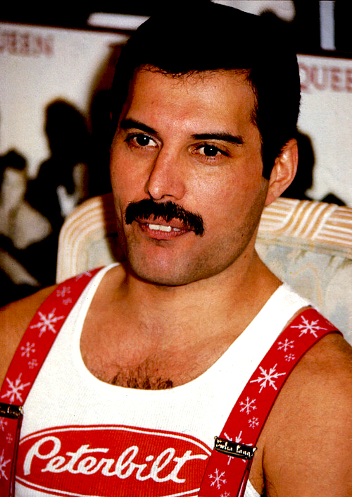 Freddie Mercury Biography Trivia Quiz NSF