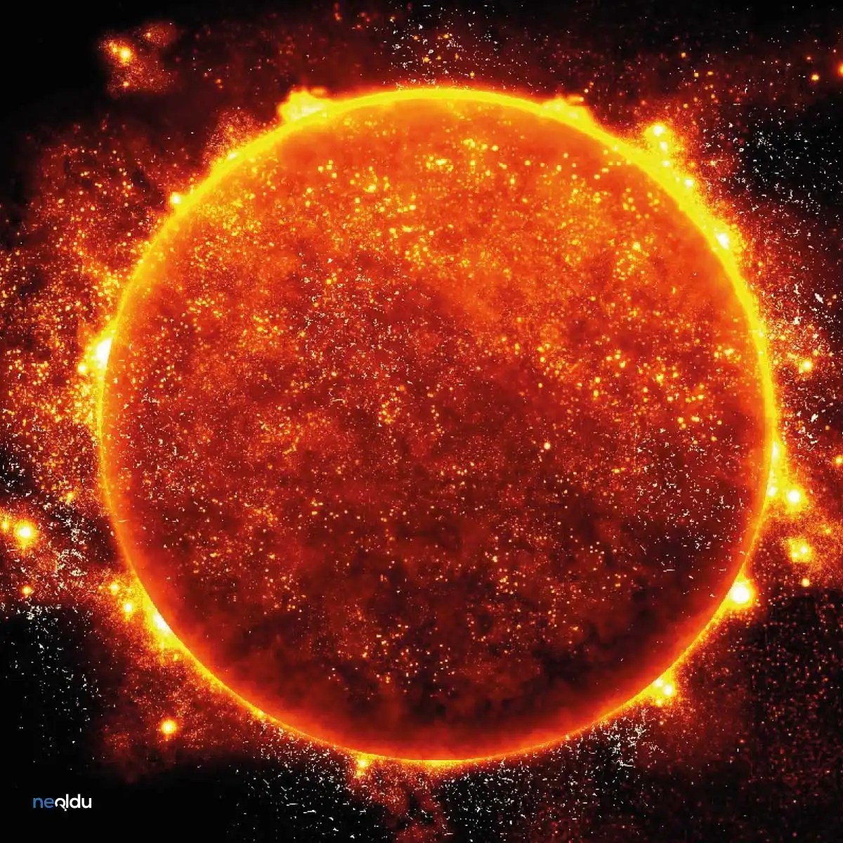 Facts to Know About the Sun - NSF News