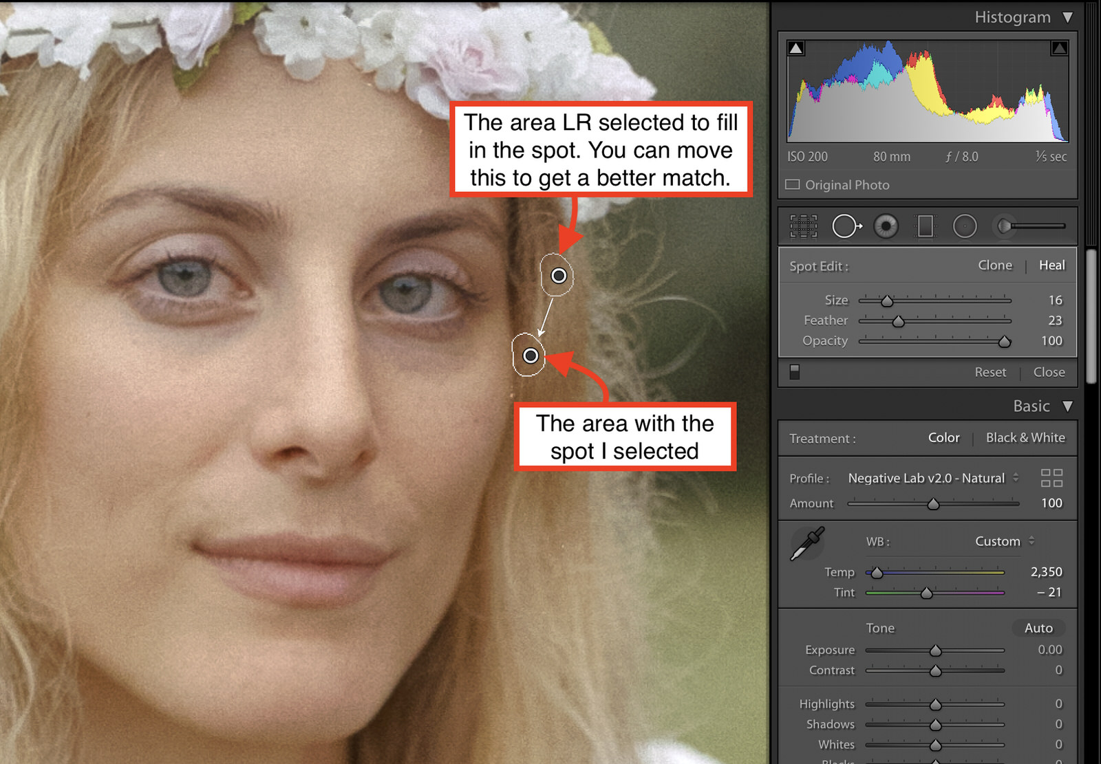Lightroom Tips & Tricks Negative Lab Pro