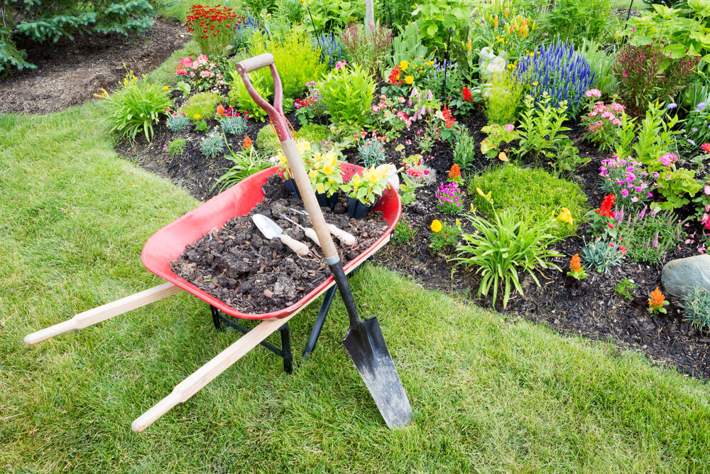 What Does a Landscape Design Cost? Neighborhood Watch