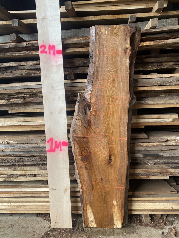 Waney Edge Pippy Elm Board Nelson Butler & Son Ltd