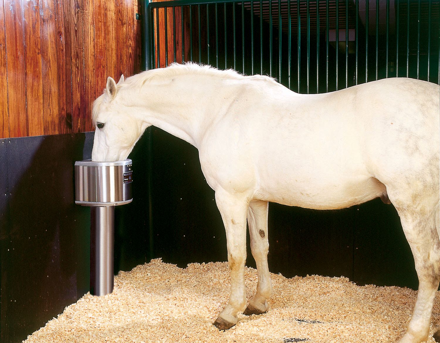 The Benefits of Installing an Automatic Horse Waterer for Your Stable