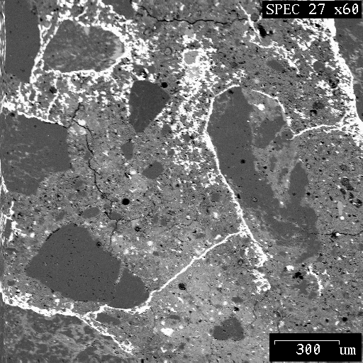 Kamran M. Nemati Analysis of Compressive StressInduced Cracks in Concrete