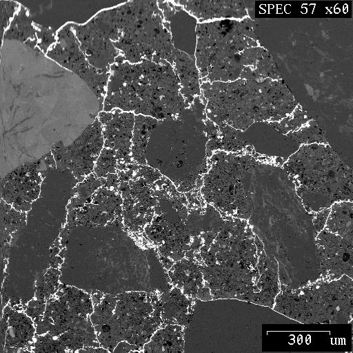 Kamran M. Nemati's Research Interests