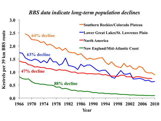 A very alarming downward trend for North Americas American Kestrel Populations: From American Kestrel Partnership (http://akp-beta.peregrinefund.org/index.php?action=intro)