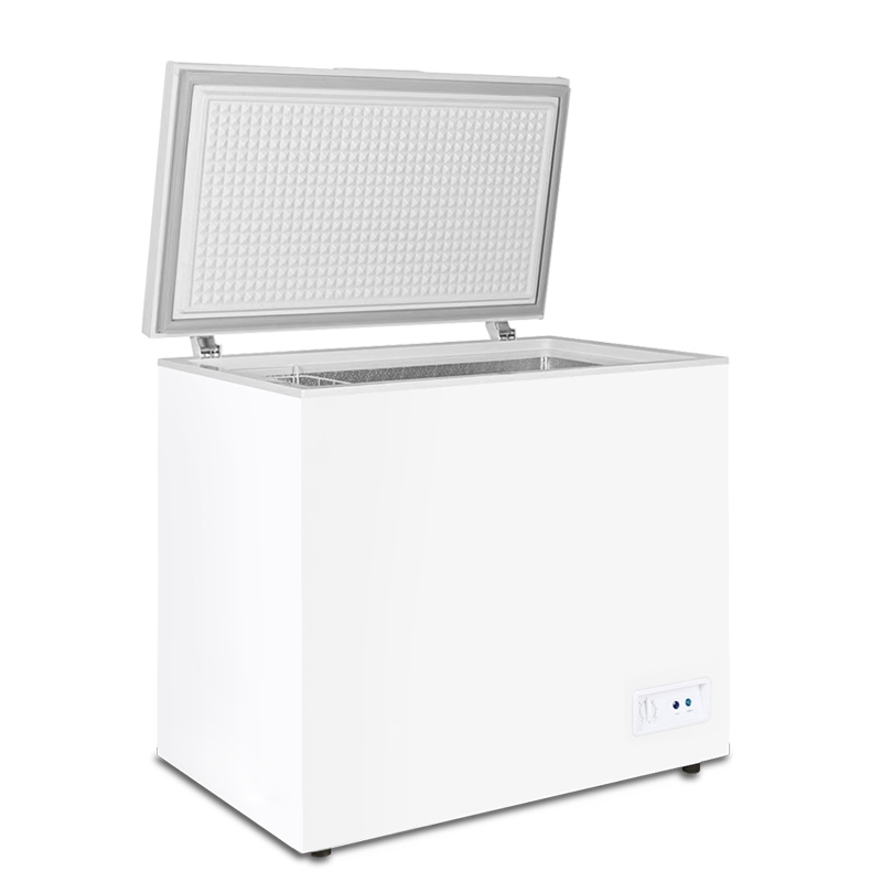 Frozen Food And Ice Cream Deep Storage Chest Style Freezer With Refrigerator