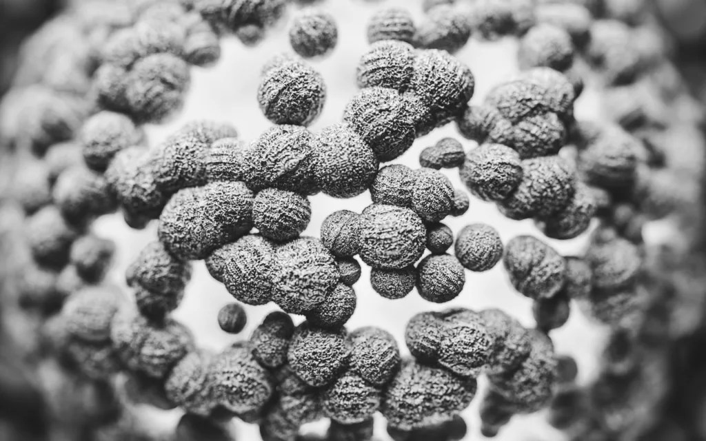 The Definitive Guide to Monoclonal Antibodies